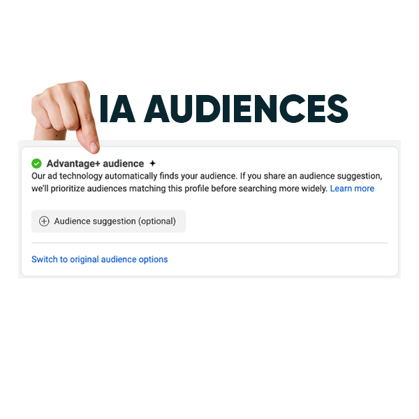 Les audiences Meta Ads en 2025 : Les Changements du Ciblage​